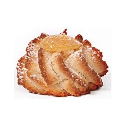 Riccio tondo mandorla 500 gr