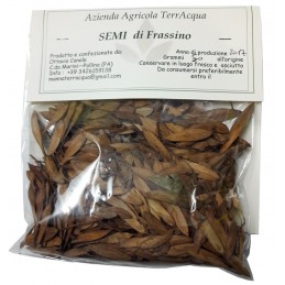 Semi di Frassino 50 gr