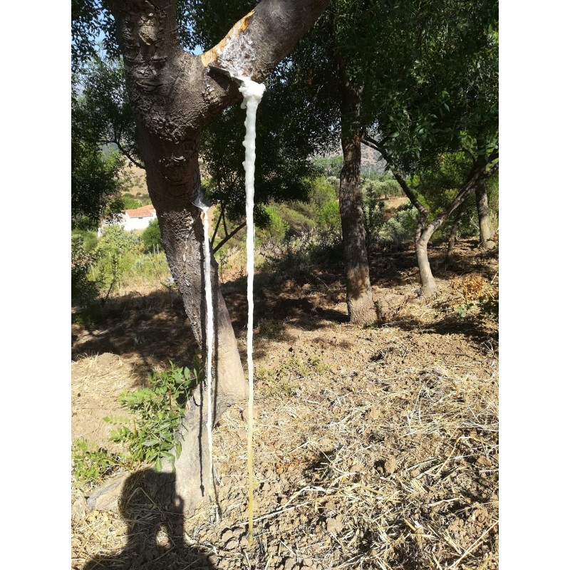 Cannoli Di Manna Pura (confezione Da 250 Grammi - Foto 10